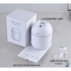 2-in-1 Ultrasonic Cool Mist Humidifier & Aroma Diffuser